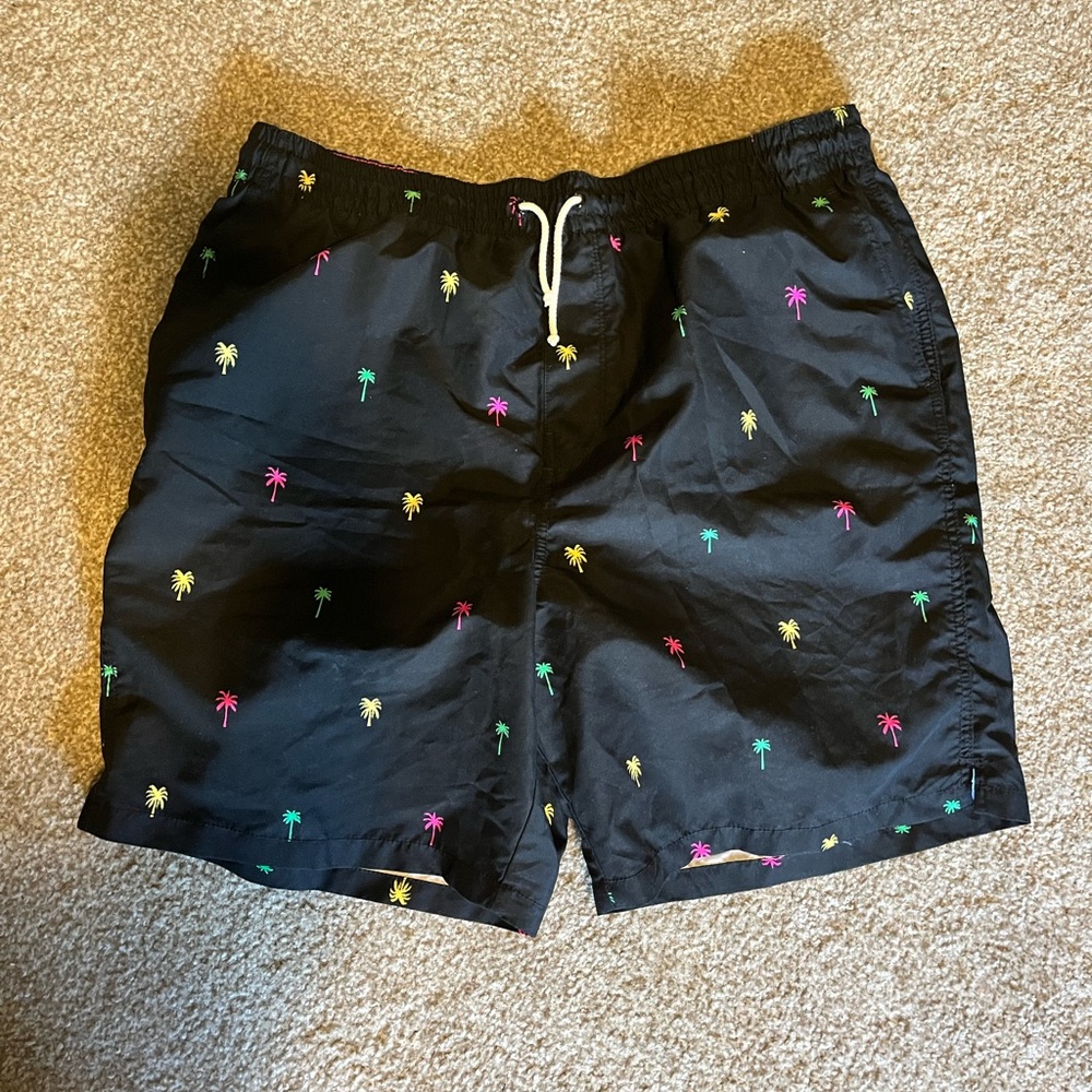 Mens Swimsuit